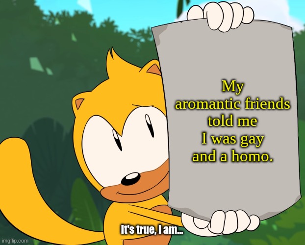 It's true, I am... | My aromantic friends told me I was gay and a homo. It's true, I am... | image tagged in ray holding a poster | made w/ Imgflip meme maker