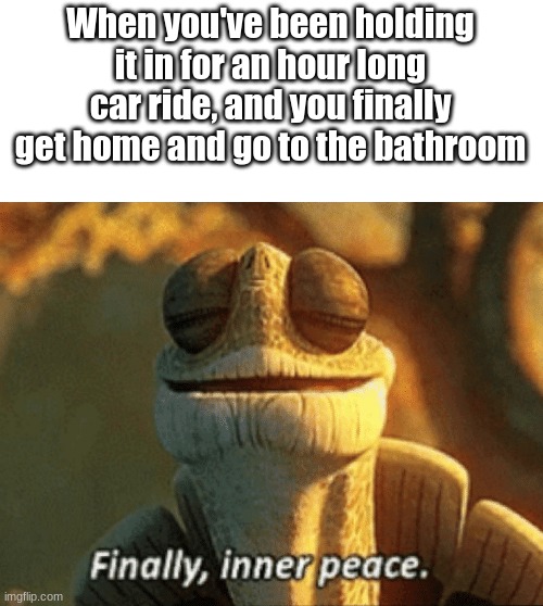 The most soul cleansing feeling to ever exsist | When you've been holding it in for an hour long car ride, and you finally get home and go to the bathroom | image tagged in finally inner peace,relatable,memes | made w/ Imgflip meme maker