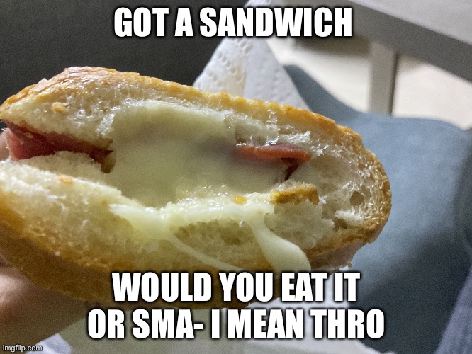 ? | GOT A SANDWICH; WOULD YOU EAT IT OR SMA- I MEAN THROW IT | image tagged in sandwich | made w/ Imgflip meme maker