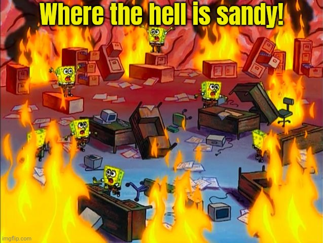 Spongebob Brain Chaos | Where the hell is sandy! | image tagged in spongebob brain chaos | made w/ Imgflip meme maker