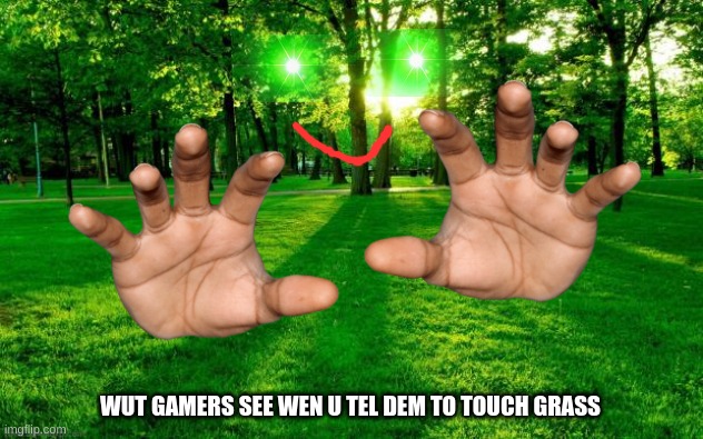 Grass and trees | WUT GAMERS SEE WEN U TEL DEM TO TOUCH GRASS | image tagged in grass and trees,gaming | made w/ Imgflip meme maker