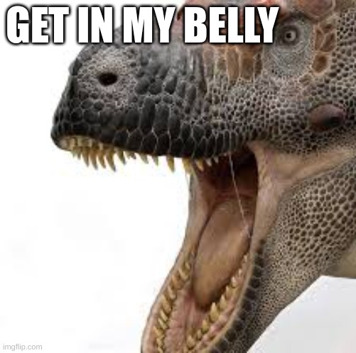 dino roar | GET IN MY BELLY | image tagged in memes,dinosaurs | made w/ Imgflip meme maker