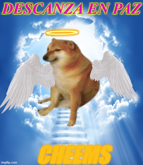 D.E.P. Cheems | DESCANZA EN PAZ; CHEEMS | image tagged in heaven | made w/ Imgflip meme maker