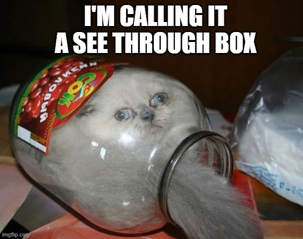 meme by Brad cat in a jar | I'M CALLING IT A SEE THROUGH BOX | image tagged in cats,funny cat,humor,funny cat memes | made w/ Imgflip meme maker