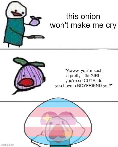 ... WAAAAAA- | this onion won't make me cry; "Awww, you're such a pretty little GIRL, you're so CUTE, do you have a BOYFRIEND yet?" | image tagged in this onion won't make me cry,lesbian,transgender,lgbt,lgbtq | made w/ Imgflip meme maker