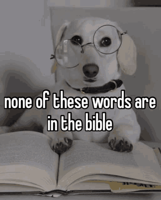 None of these words are in the bible Blank Meme Template