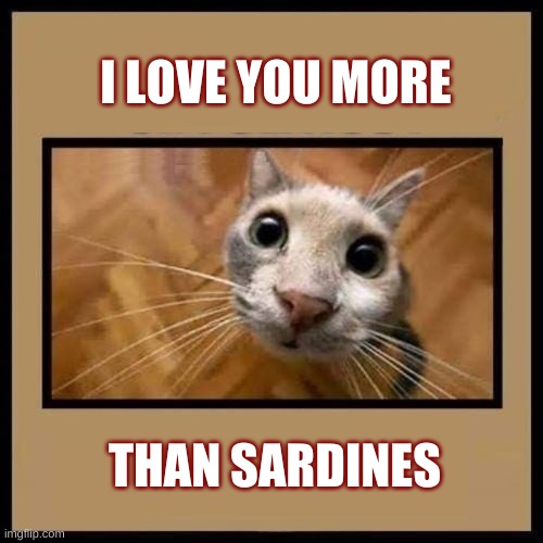 Cat and Coffee | I LOVE YOU MORE; THAN SARDINES | image tagged in cat and coffee,cat,i love you,fish,true love,kitty | made w/ Imgflip meme maker