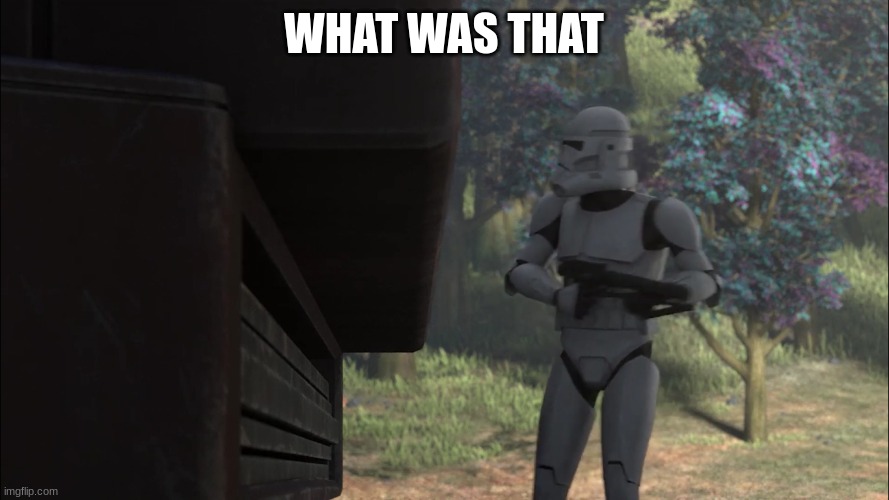 clone trooper | WHAT WAS THAT | image tagged in clone trooper | made w/ Imgflip meme maker
