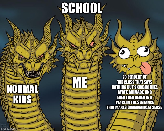 Three-headed Dragon | SCHOOL; 70 PERCENT OF THE CLASS THAT SAYS NOTHING BUT SKIBBIDI RIZZ, GYATT, GRIMACE, AND EVEN THEN NEVER IN A PLACE IN THE SENTANCE THAT MAKES GRAMMATICAL SENSE; ME; NORMAL KIDS | image tagged in three-headed dragon | made w/ Imgflip meme maker