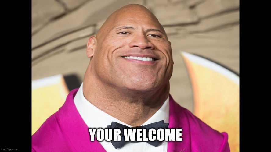 egg rock | YOUR WELCOME | image tagged in egg rock | made w/ Imgflip meme maker