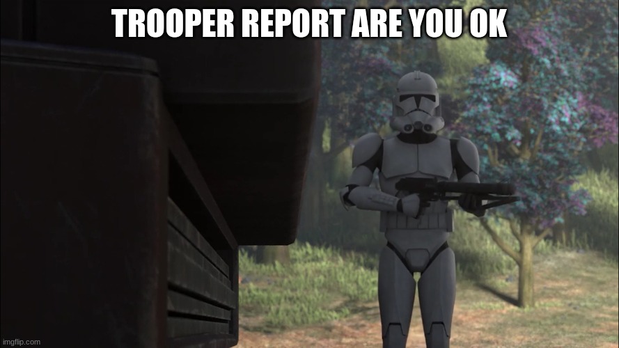 clone trooper | TROOPER REPORT ARE YOU OK | image tagged in clone trooper | made w/ Imgflip meme maker