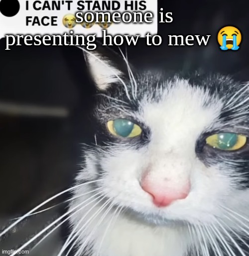 hey bro | someone is presenting how to mew 😭 | image tagged in hey bro | made w/ Imgflip meme maker