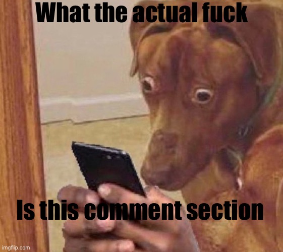 shocked dog | What the actual fuck Is this comment section | image tagged in shocked dog | made w/ Imgflip meme maker