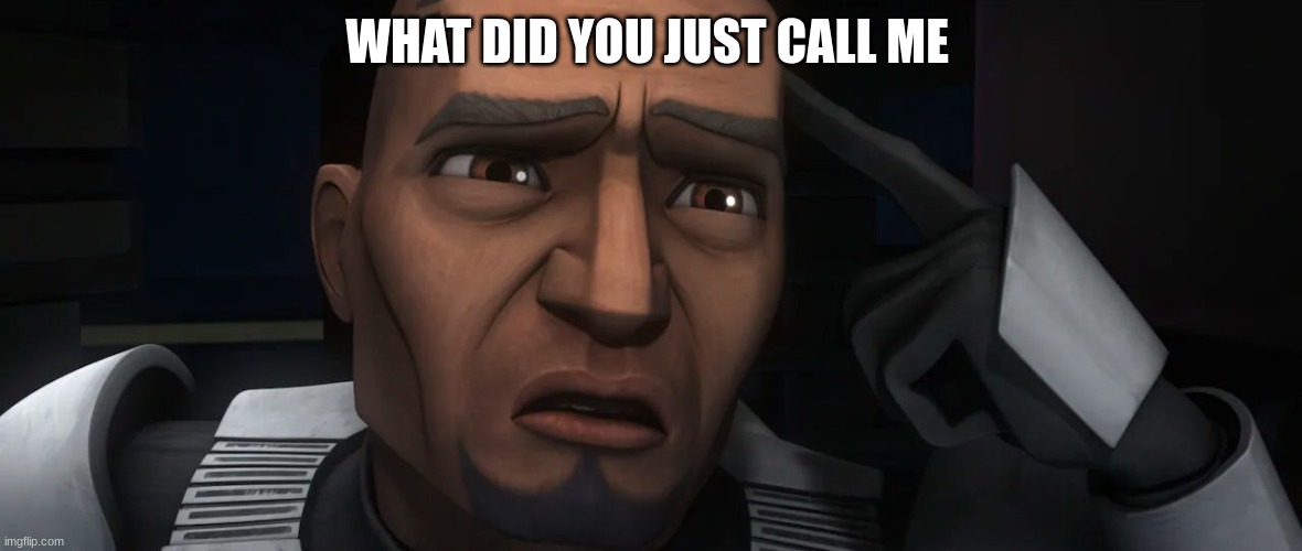 clone trooper fives | WHAT DID YOU JUST CALL ME | image tagged in clone trooper fives | made w/ Imgflip meme maker