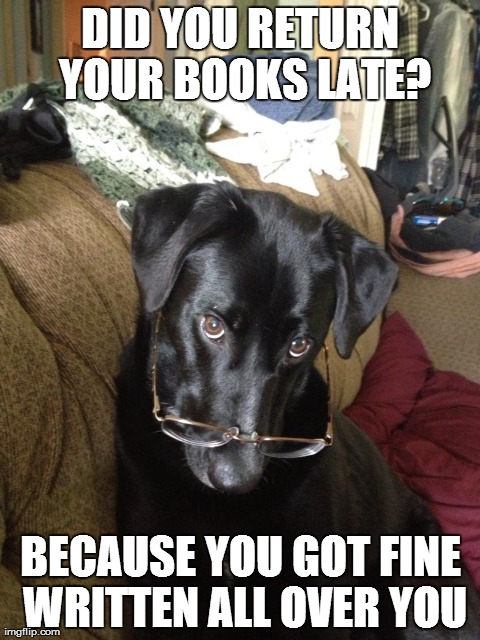 DID YOU RETURN YOUR BOOKS LATE? BECAUSE YOU GOT FINE WRITTEN ALL OVER YOU | image tagged in AdviceAnimals | made w/ Imgflip meme maker