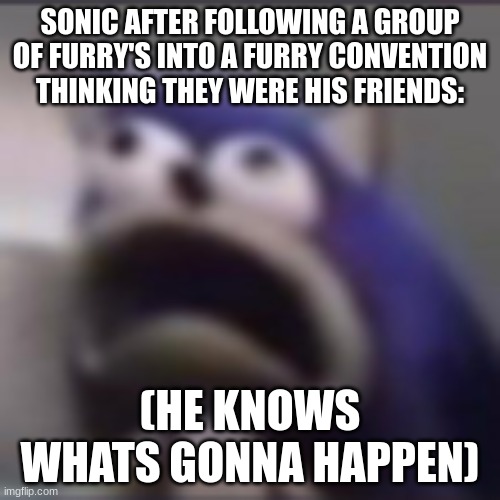 oh god | SONIC AFTER FOLLOWING A GROUP OF FURRY'S INTO A FURRY CONVENTION THINKING THEY WERE HIS FRIENDS:; (HE KNOWS WHATS GONNA HAPPEN) | image tagged in distress | made w/ Imgflip meme maker
