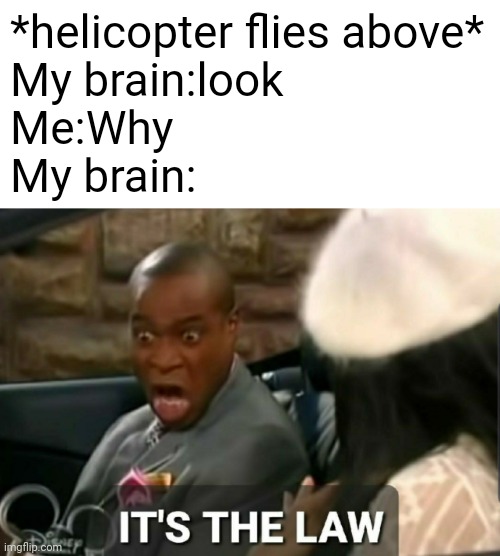 A | *helicopter flies above*
My brain:look
Me:Why
My brain: | image tagged in it's the law | made w/ Imgflip meme maker