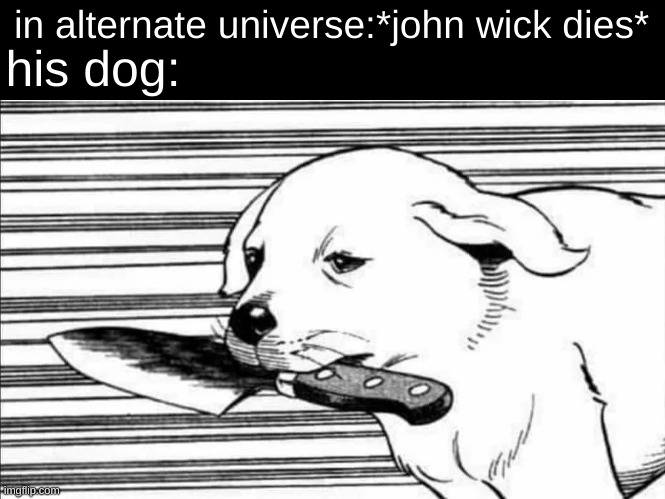 ... | his dog:; in alternate universe:*john wick dies* | image tagged in i ran out of ideas,doggy,john wick | made w/ Imgflip meme maker