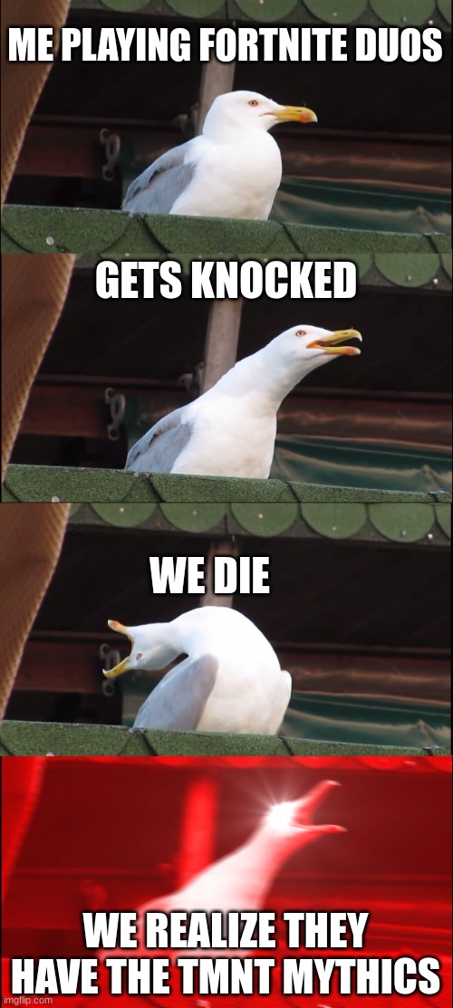 Inhaling Seagull | ME PLAYING FORTNITE DUOS; GETS KNOCKED; WE DIE; WE REALIZE THEY HAVE THE TMNT MYTHICS | image tagged in memes,inhaling seagull | made w/ Imgflip meme maker