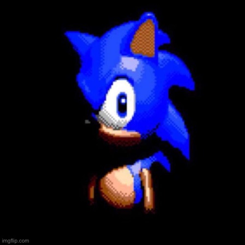 Sonic stares deep into your soul | image tagged in sonic stares deep into your soul | made w/ Imgflip meme maker