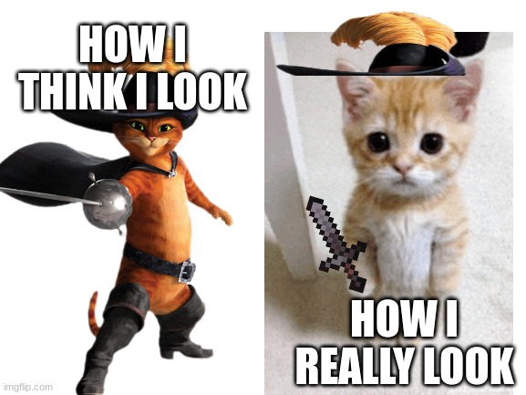 FR on halloween | HOW I THINK I LOOK; HOW I REALLY LOOK | image tagged in funni,cats | made w/ Imgflip meme maker