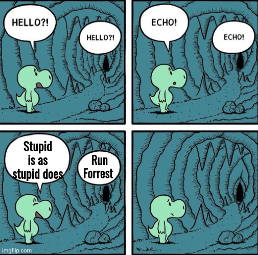 echo | Stupid is as stupid does Run Forrest | image tagged in echo | made w/ Imgflip meme maker