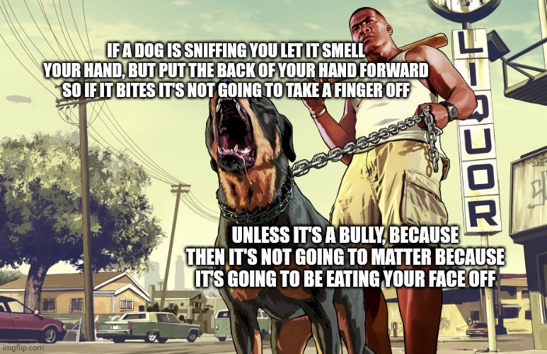 GTA 5 Franklin and his dog Chop | IF A DOG IS SNIFFING YOU LET IT SMELL YOUR HAND, BUT PUT THE BACK OF YOUR HAND FORWARD SO IF IT BITES IT'S NOT GOING TO TAKE A FINGER OFF; UNLESS IT'S A BULLY, BECAUSE THEN IT'S NOT GOING TO MATTER BECAUSE IT'S GOING TO BE EATING YOUR FACE OFF | image tagged in gta 5 franklin and his dog chop | made w/ Imgflip meme maker