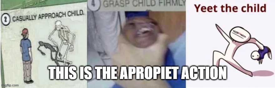 yeet teh child | THIS IS THE APROPIET ACTION | image tagged in yeet teh child | made w/ Imgflip meme maker