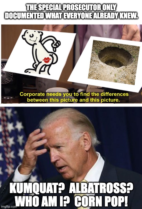 Those who truly love Joe Biden should not let this elder abuse continue... take him to CT, tell him he's still pres and retire. | THE SPECIAL PROSECUTOR ONLY DOCUMENTED WHAT EVERYONE ALREADY KNEW. KUMQUAT?  ALBATROSS? WHO AM I?  CORN POP! | image tagged in blank white template,joe biden worries,they're the same picture | made w/ Imgflip meme maker