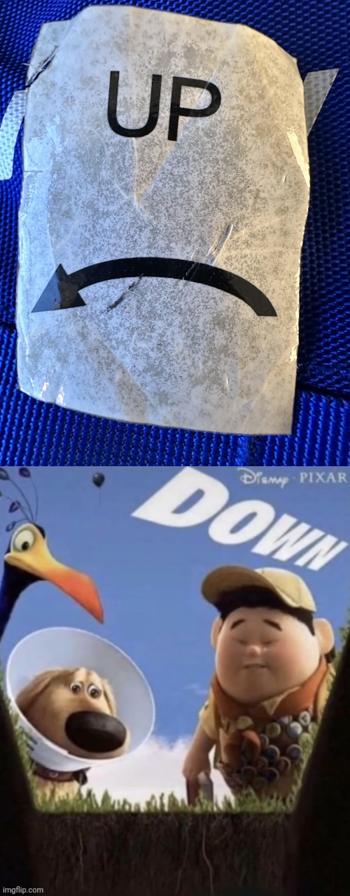 More like going down | image tagged in disney pixar down,up,down,arrow,you had one job,memes | made w/ Imgflip meme maker