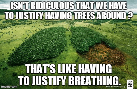ISN'T RIDICULOUS THAT WE HAVE TO JUSTIFY HAVING TREES AROUND ?  THAT'S LIKE HAVING TO JUSTIFY BREATHING. | image tagged in deforestation  | made w/ Imgflip meme maker