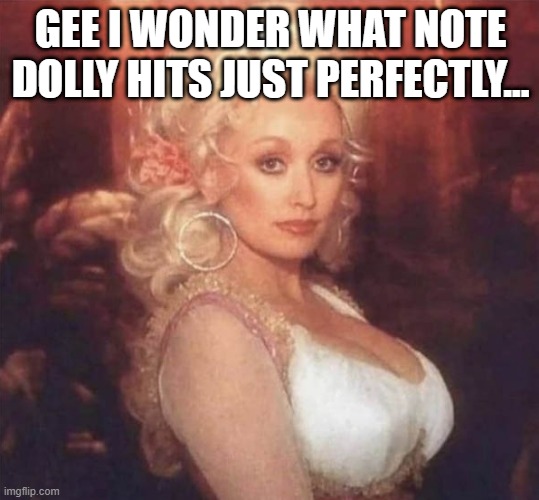 D Sharp | GEE I WONDER WHAT NOTE DOLLY HITS JUST PERFECTLY... | image tagged in dolly parton | made w/ Imgflip meme maker