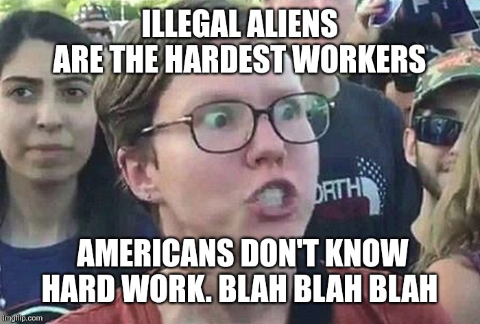 Triggered Liberal | ILLEGAL ALIENS ARE THE HARDEST WORKERS AMERICANS DON'T KNOW HARD WORK. BLAH BLAH BLAH | image tagged in triggered liberal | made w/ Imgflip meme maker