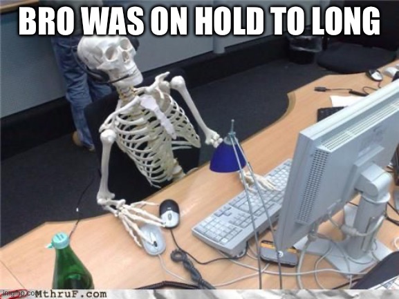 Skeleton Computer | BRO WAS ON HOLD TO LONG | image tagged in skeleton computer | made w/ Imgflip meme maker