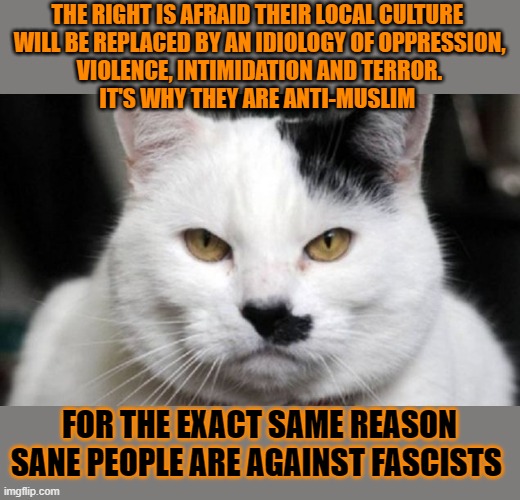 This #lolcat wonders why some want oppression, violence, intimidation and terror. | THE RIGHT IS AFRAID THEIR LOCAL CULTURE 
WILL BE REPLACED BY AN IDIOLOGY OF OPPRESSION,
VIOLENCE, INTIMIDATION AND TERROR.
IT'S WHY THEY ARE ANTI-MUSLIM; FOR THE EXACT SAME REASON
SANE PEOPLE ARE AGAINST FASCISTS | image tagged in fascism,fascists,islamophobia,antifa,stupid people,lolcat | made w/ Imgflip meme maker
