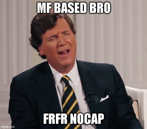 based bro | MF BASED BRO; FRFR NOCAP | image tagged in funny memes,meme | made w/ Imgflip meme maker