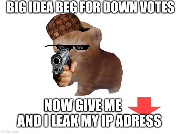 BIG IDEA BEG FOR DOWN VOTES; NOW GIVE ME      AND I LEAK MY IP ADRESS | made w/ Imgflip meme maker