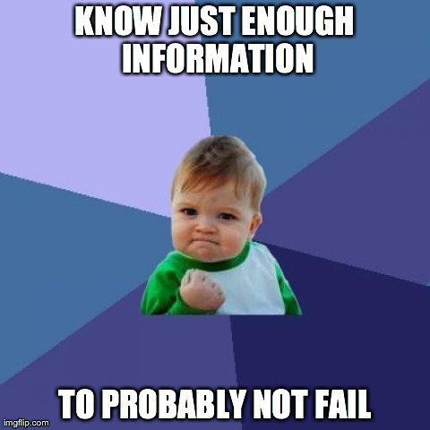 Success Kid | KNOW JUST ENOUGH INFORMATION TO PROBABLY NOT FAIL | image tagged in memes,success kid | made w/ Imgflip meme maker