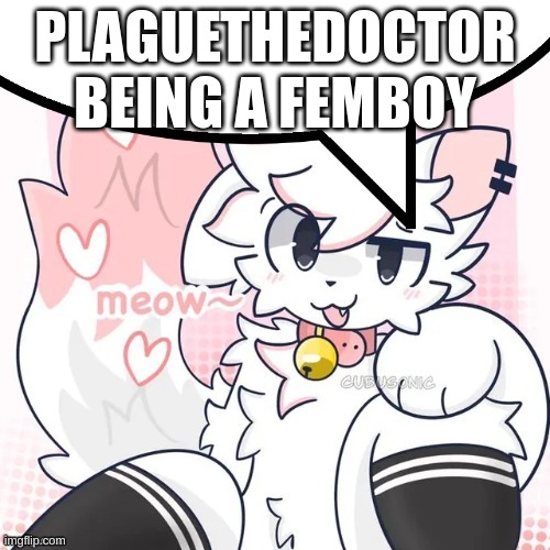 msmg slander #8 | PLAGUETHEDOCTOR BEING A FEMBOY | image tagged in femboy boykisser speech bubble | made w/ Imgflip meme maker