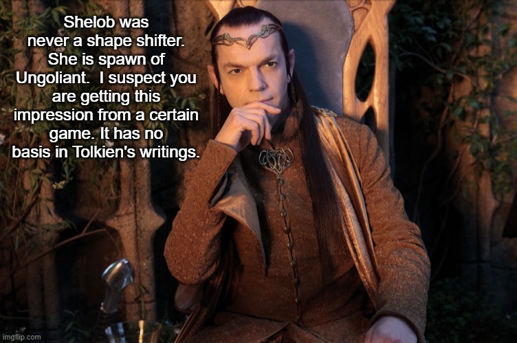 Elrond | Shelob was never a shape shifter. She is spawn of Ungoliant.  I suspect you are getting this impression from a certain game. It has no basis | image tagged in elrond | made w/ Imgflip meme maker