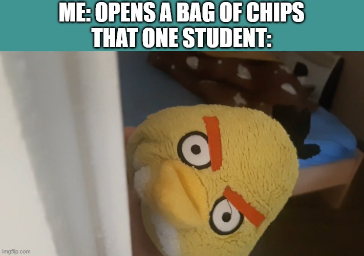 WOT'S THIS I HEAR ABOUT A CHIP?! | ME: OPENS A BAG OF CHIPS
THAT ONE STUDENT: | image tagged in peeking chuck bird,school | made w/ Imgflip meme maker