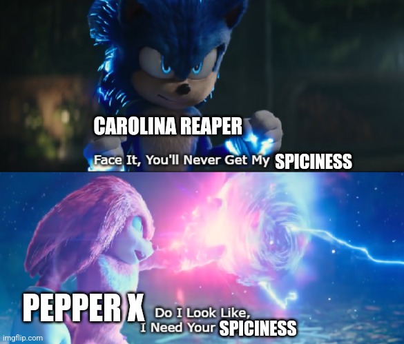 Pepper X doesn't need the Carolina reaper's spiciness | CAROLINA REAPER; SPICINESS; PEPPER X; SPICINESS | image tagged in do i look like i need your power meme,food memes,jpfan102504 | made w/ Imgflip meme maker