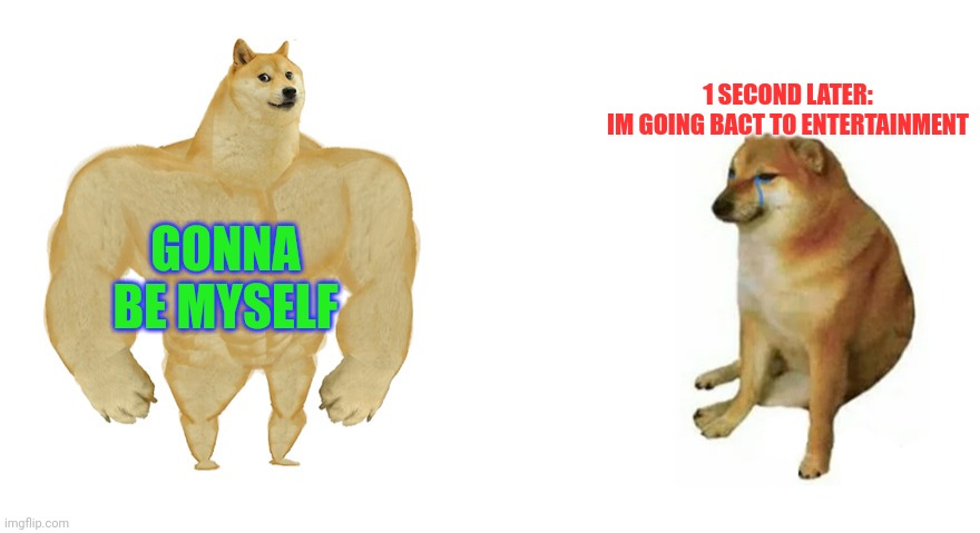 Buff Doge vs Crying Cheems | 1 SECOND LATER:

 IM GOING BACT TO ENTERTAINMENT; GONNA BE MYSELF | image tagged in buff doge vs crying cheems | made w/ Imgflip meme maker