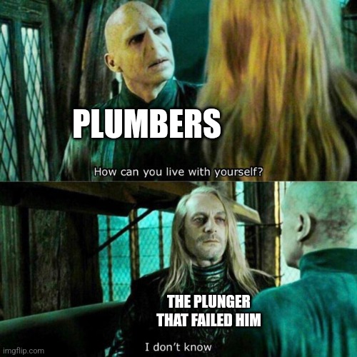When the plunger fails | PLUMBERS; THE PLUNGER THAT FAILED HIM | image tagged in how can you live with yourself,plumber,jpfan102504 | made w/ Imgflip meme maker