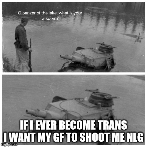 panzer of the lake template | IF I EVER BECOME TRANS I WANT MY GF TO SHOOT ME NLG | image tagged in panzer of the lake template | made w/ Imgflip meme maker