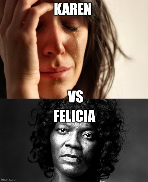 The Meme war for Justice! | KAREN; VS; FELICIA | image tagged in memes,first world problems | made w/ Imgflip meme maker