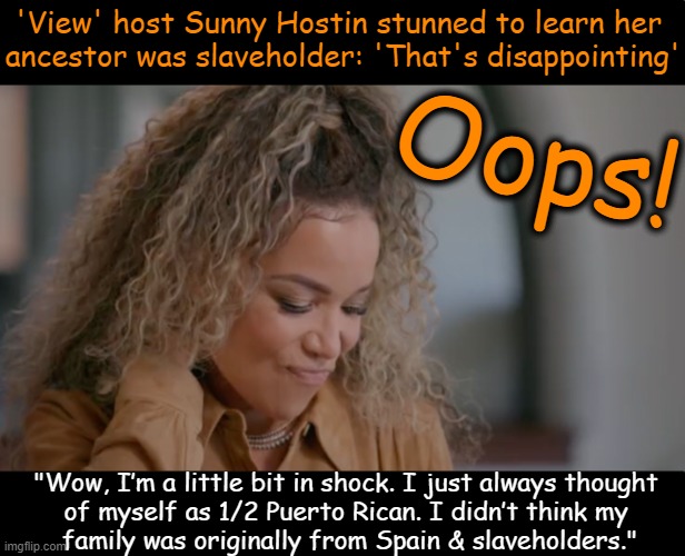 Inconvenient Truth | 'View' host Sunny Hostin stunned to learn her 
ancestor was slaveholder: 'That's disappointing'; Oops! "Wow, I’m a little bit in shock. I just always thought 
of myself as 1/2 Puerto Rican. I didn’t think my 
family was originally from Spain & slaveholders." | image tagged in political humor,isn't it ironic,slavery,the view,sunny,too funny | made w/ Imgflip meme maker