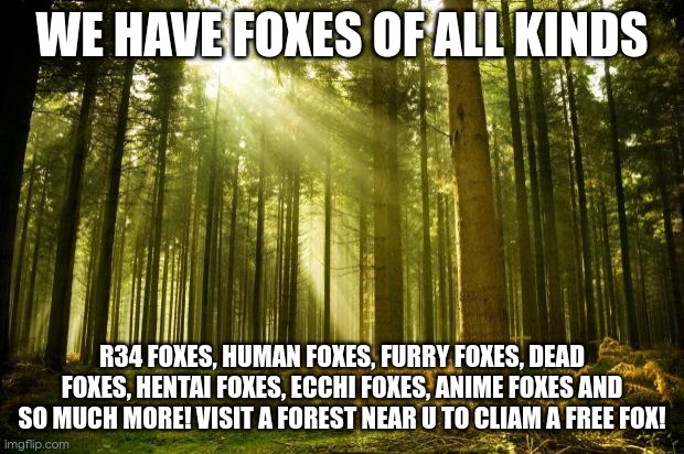 no title?(its me, Morpeko,the creator of this meme, i just wanna say there wont be a title) | WE HAVE FOXES OF ALL KINDS; R34 FOXES, HUMAN FOXES, FURRY FOXES, DEAD FOXES, HENTAI FOXES, ECCHI FOXES, ANIME FOXES AND SO MUCH MORE! VISIT A FOREST NEAR U TO CLIAM A FREE FOX! | image tagged in sunlit forest | made w/ Imgflip meme maker