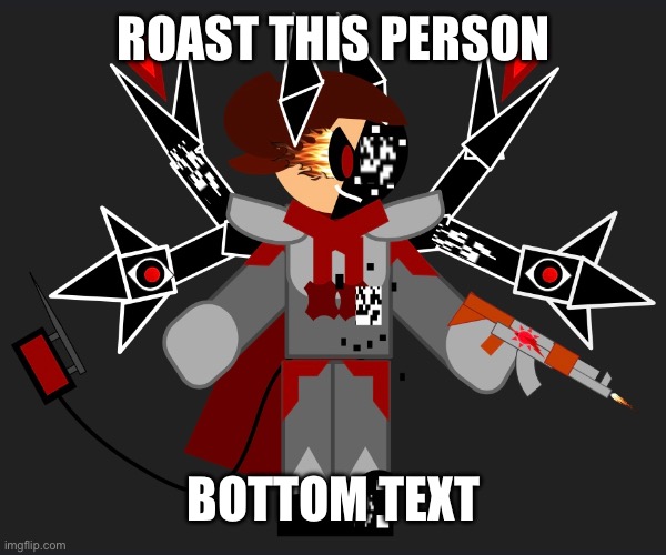 i can post here now yay | ROAST THIS PERSON; BOTTOM TEXT | image tagged in memes | made w/ Imgflip meme maker