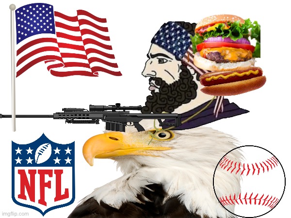 The most American thing ever | image tagged in america | made w/ Imgflip meme maker